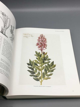 The Art of Botanical Illustration