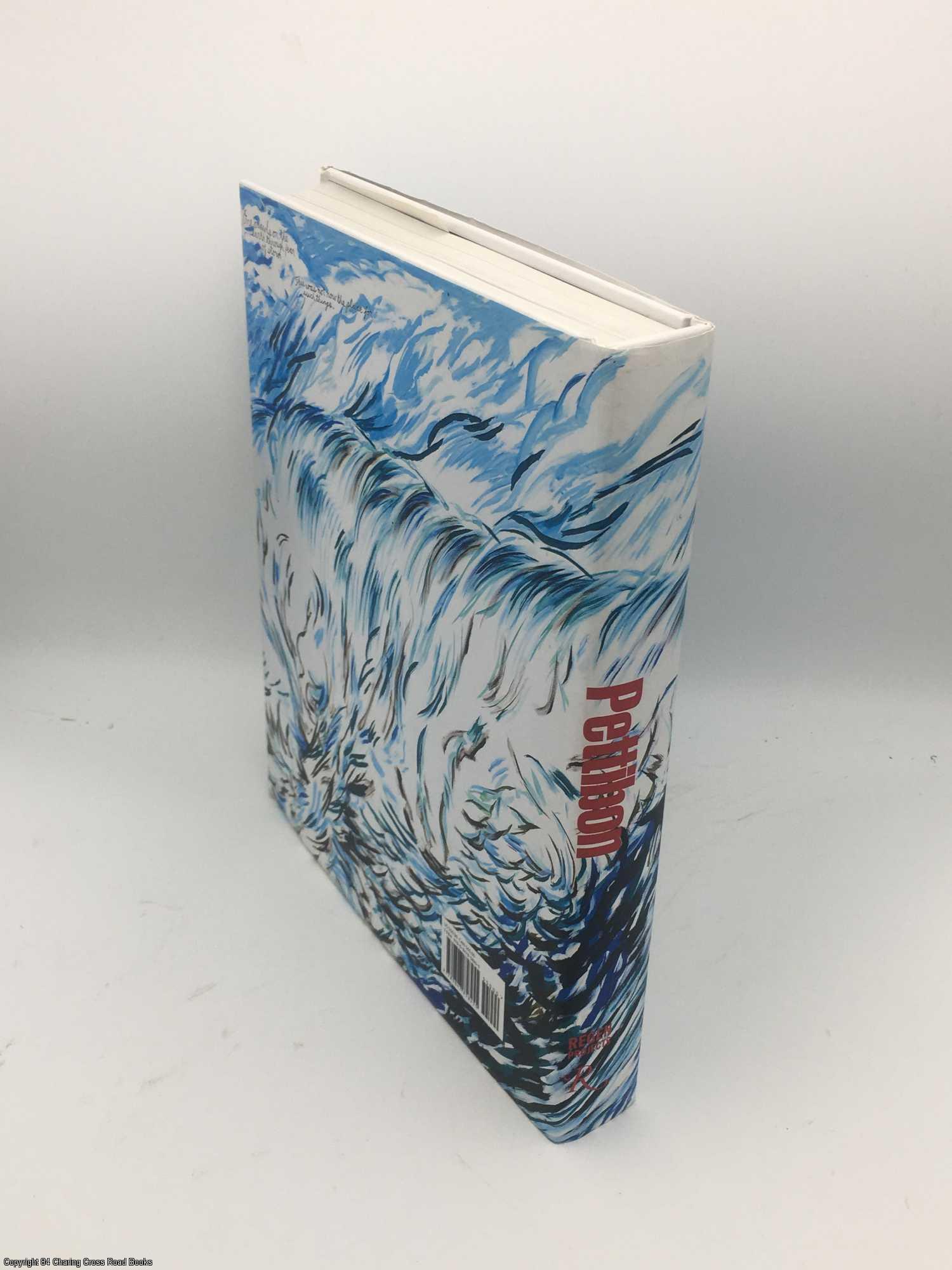 Raymond Pettibon Rizzoli Classics | Robert Storr | First Edition