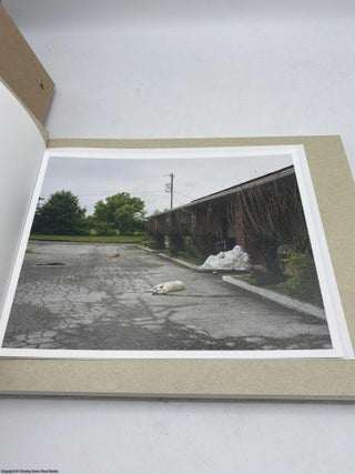 A Pound of Pictures (signed numbered box set 119/300)