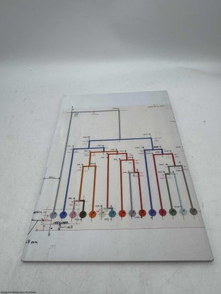 Alison Turnbull: Vitis Vinifera L.