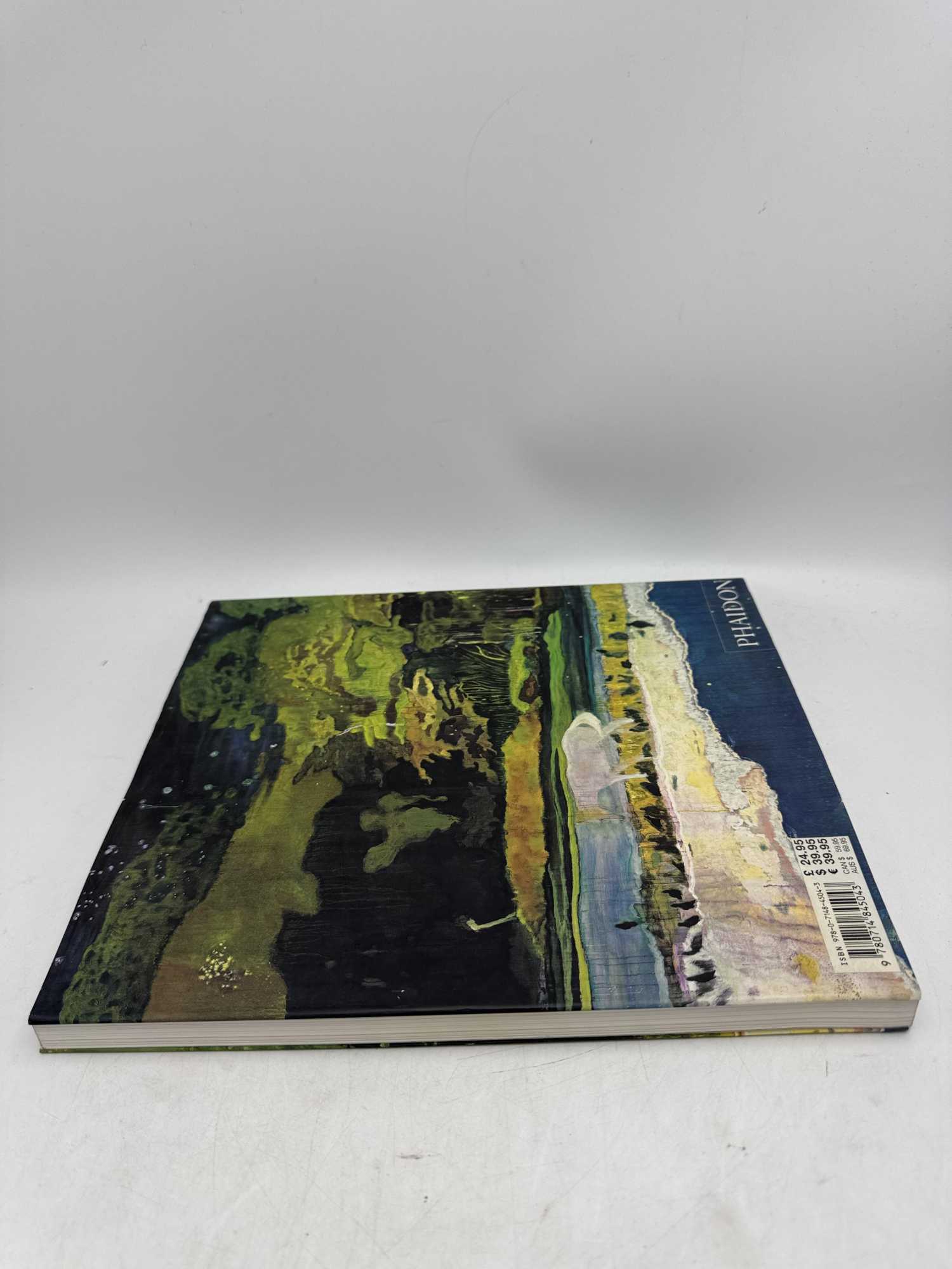 Peter Doig Phaidon Contemporary Artists Series | Adrian Searle