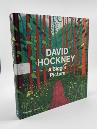 Item #101602 David Hockney a Bigger Picture. David Hockney