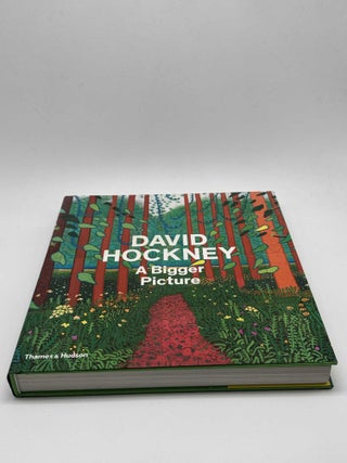David Hockney a Bigger Picture