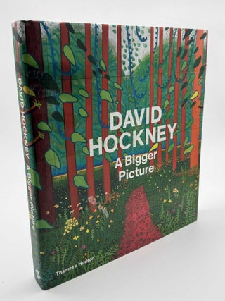 Item #101646 David Hockney a Bigger Picture. David Hockney