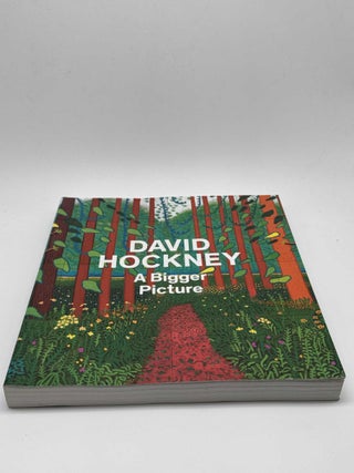 David Hockney A Bigger Picture
